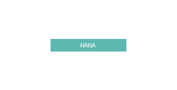 HANA.png