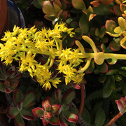 IMG-6872