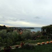 IMG-9751