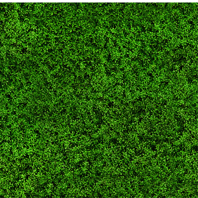 20131234-R0z6dw-MY