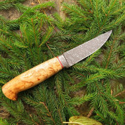 IMG-2684