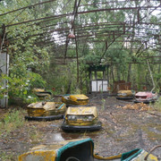 OLYMPUS-DIGITAL-CAMERA