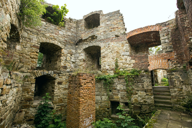 IMG-3301