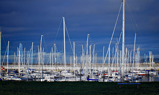 IMGP7042.jpg