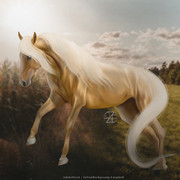 Webp-net-compress-image-56