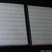 IMG-6856