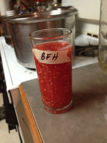 BFH-Freshseed-s.jpg