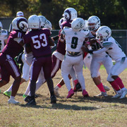 IMG-4445