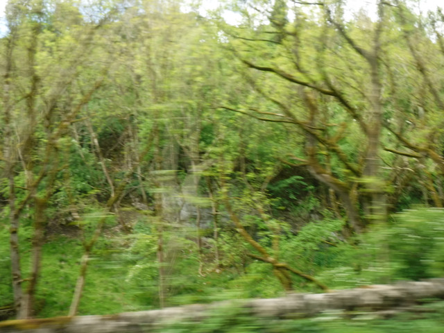 DSCF6060.jpg