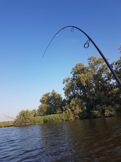 20180627-075040