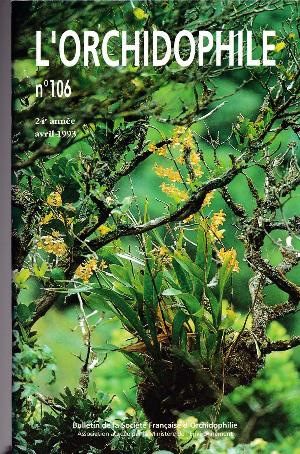 orchido106.jpg?042148