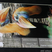 IMG-7738