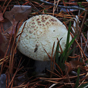 PA010163