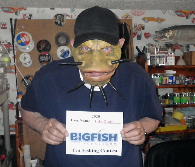 CAT-MASK