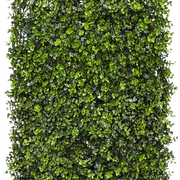 transparent