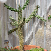 IMG-9011