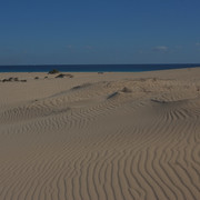 DSCF8524