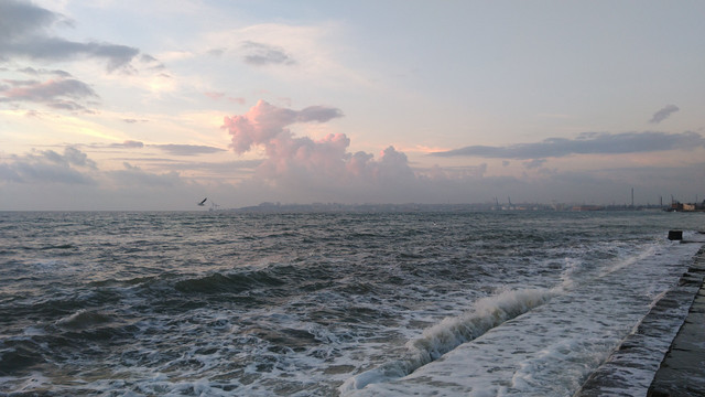 IMG-20201016-071824