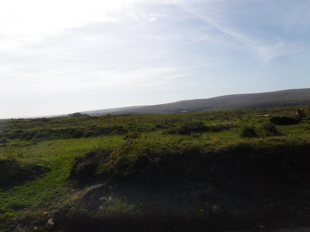 DSCF5521.jpg