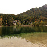 IMG-0218