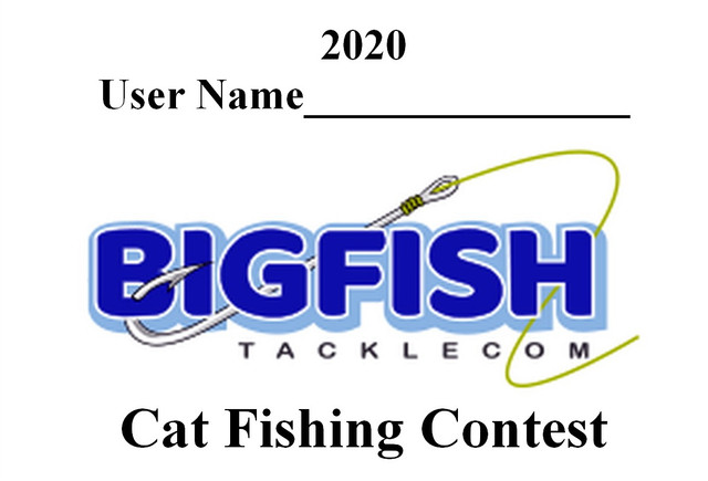 2020-CATFISH