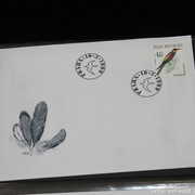IMG-2631