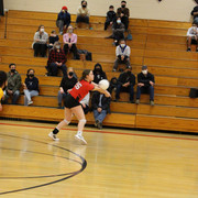 IMG-0077