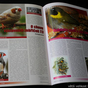 IMG-7826