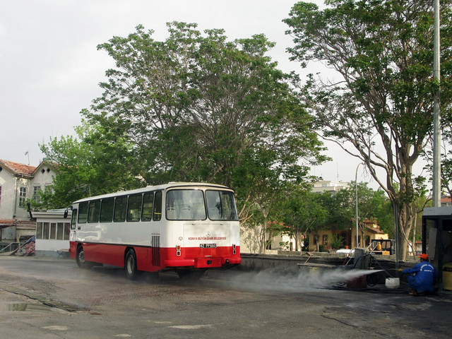 IMG-6311