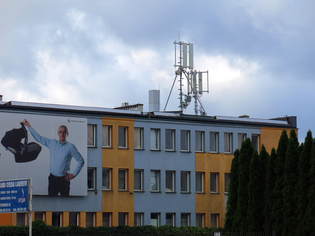 IMG-4617