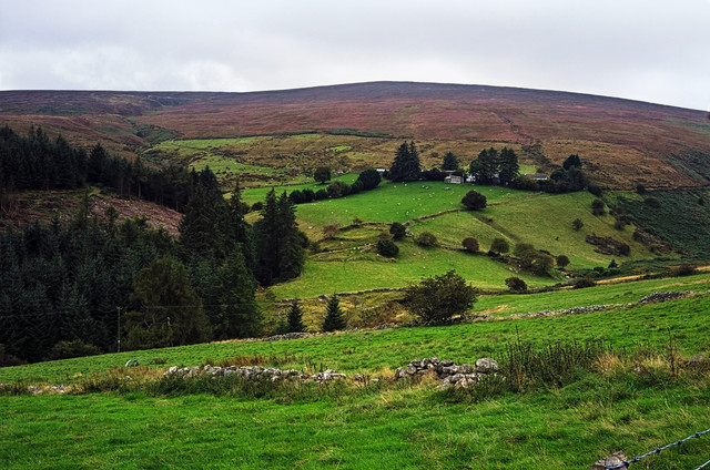 DSCF3184.jpg