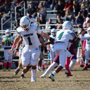 IMG-3388