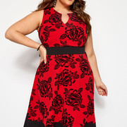0001-RED-FLOCKED-ROSE-SKATER-DRESS-136591-d12b