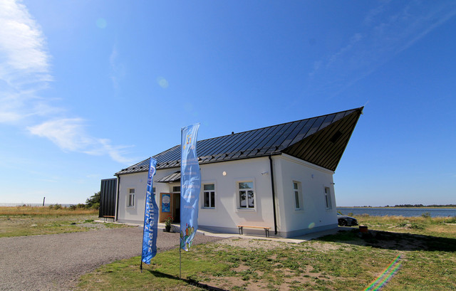 IMG-1461