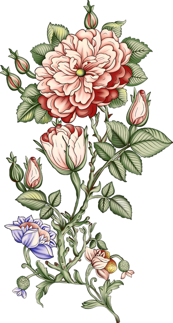 47d1df3f2b201ba817f5d166174ee0e0.png