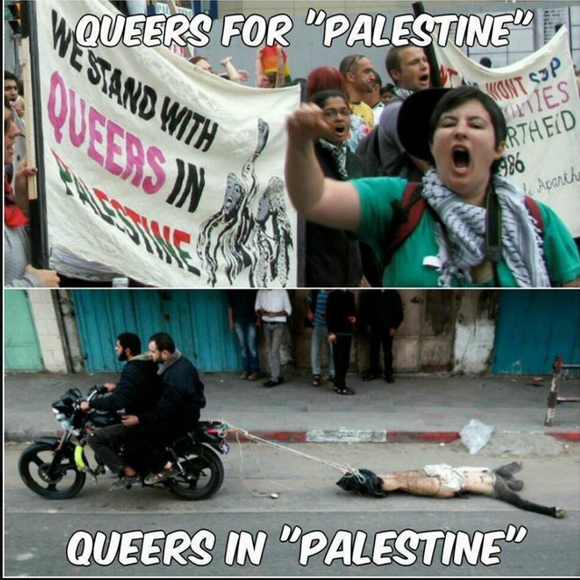 queer