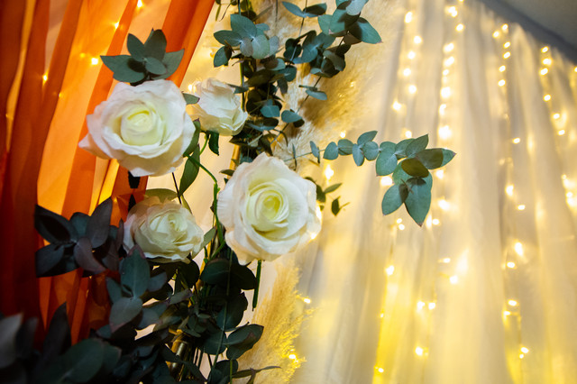 DSC0881