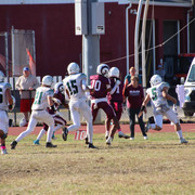 IMG-4706