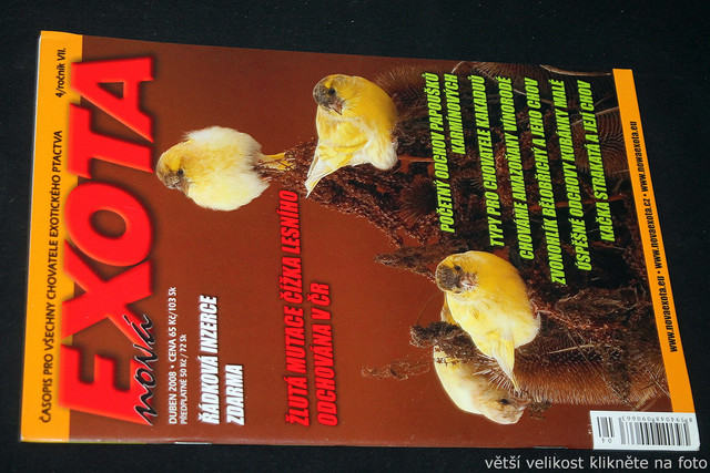IMG-7824.jpg
