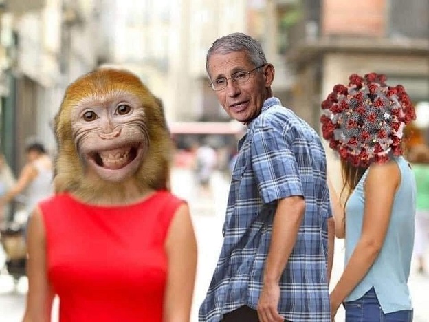 monkeypox1.jpg