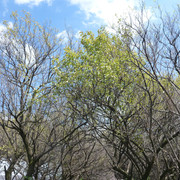 P1340994