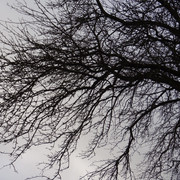 DSC09765