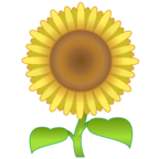 sunflower-1f33b