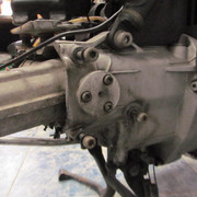 IMG 0359