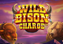 wild bison charge demo