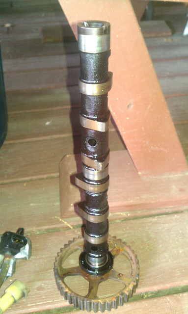 IMAG0654