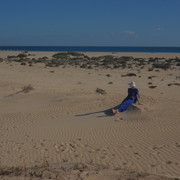 DSCF8520