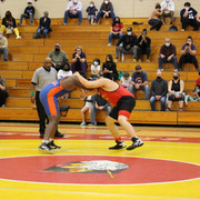 IMG-0443