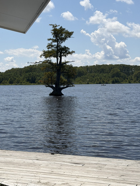 IMG-4356