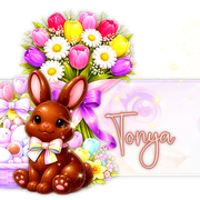 Tonya 91ºBanner